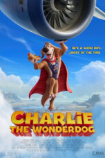 Nonton Film Charlie the Wonderdog Sub Indo Nonton Film Charlie the Wonderdog Sub Indo