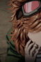 Nonton Fist of the North Star: HOKUTO NO KEN Season 1 Season 1 Episode 8 Sub Indo Nonton Fist of the North Star: HOKUTO NO KEN Season 1 Season 1 Episode 8 Sub Indo