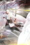 Nonton The Demon Hunter Season 3 Season 3 Episode 10 Sub Indo Nonton The Demon Hunter Season 3 Season 3 Episode 10 Sub Indo
