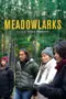 Nonton Film Meadowlarks Sub Indo Nonton Film Meadowlarks Sub Indo