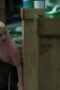 Nonton Lucky Season 1 Season 1 Episode 2 Sub Indo Nonton Lucky Season 1 Season 1 Episode 2 Sub Indo